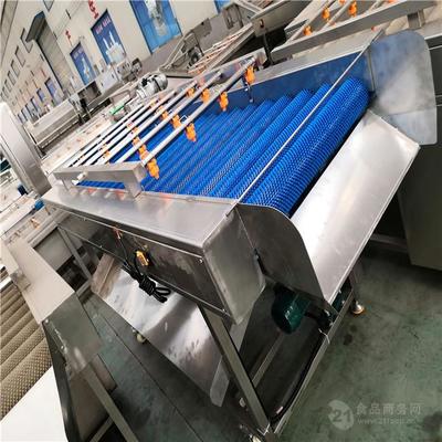 果蔬清洗去雜設備 現代食品加工的高效衛士